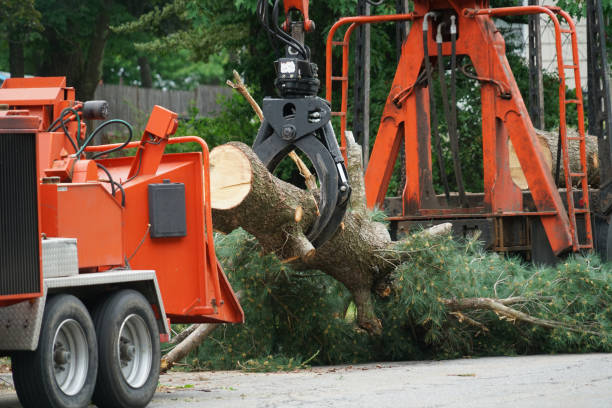 Soil Testing and Treatment in Keene, NH